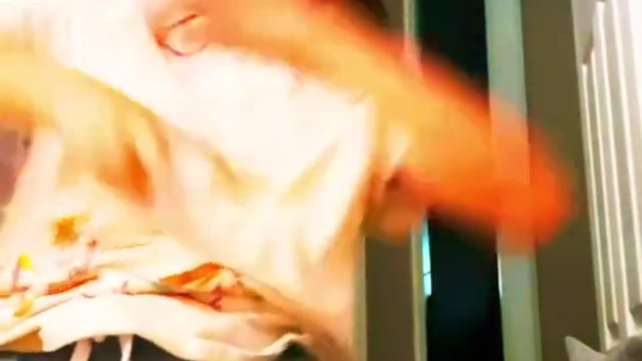 pantubejvGpmFlAVDyaJ6IL