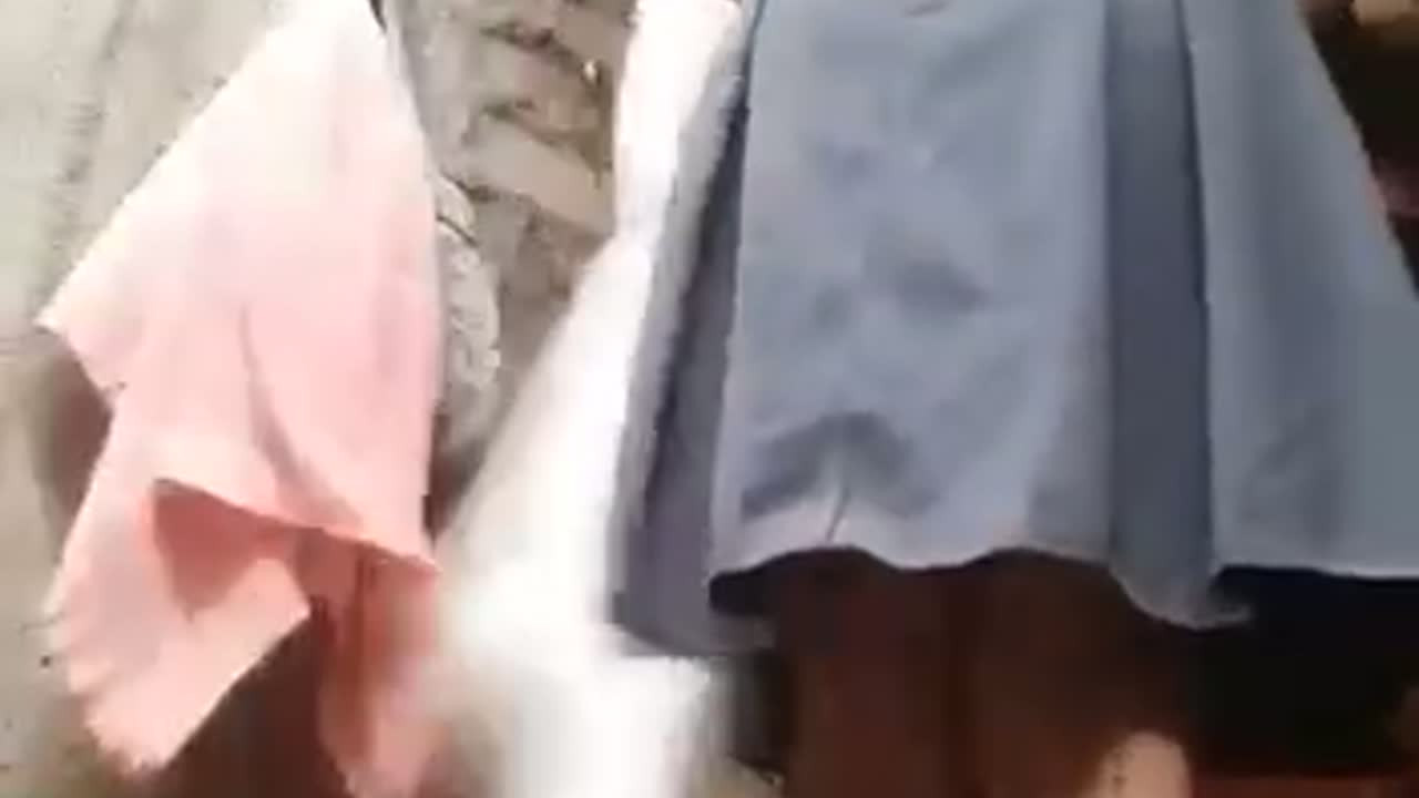 pantubeJt0aPGwNEoXvfith